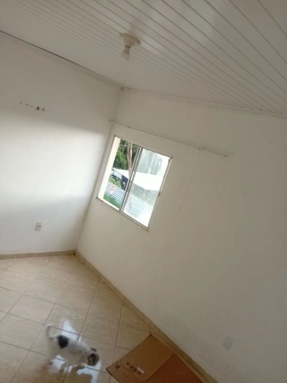 Apartamento  st paula - Foto 2