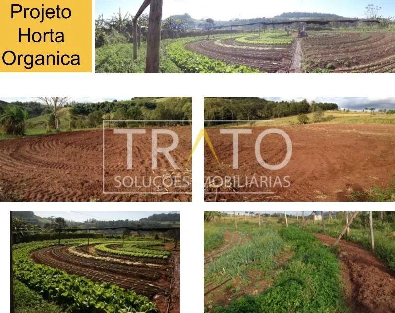 Fazenda espetacular à venda! - Foto 3