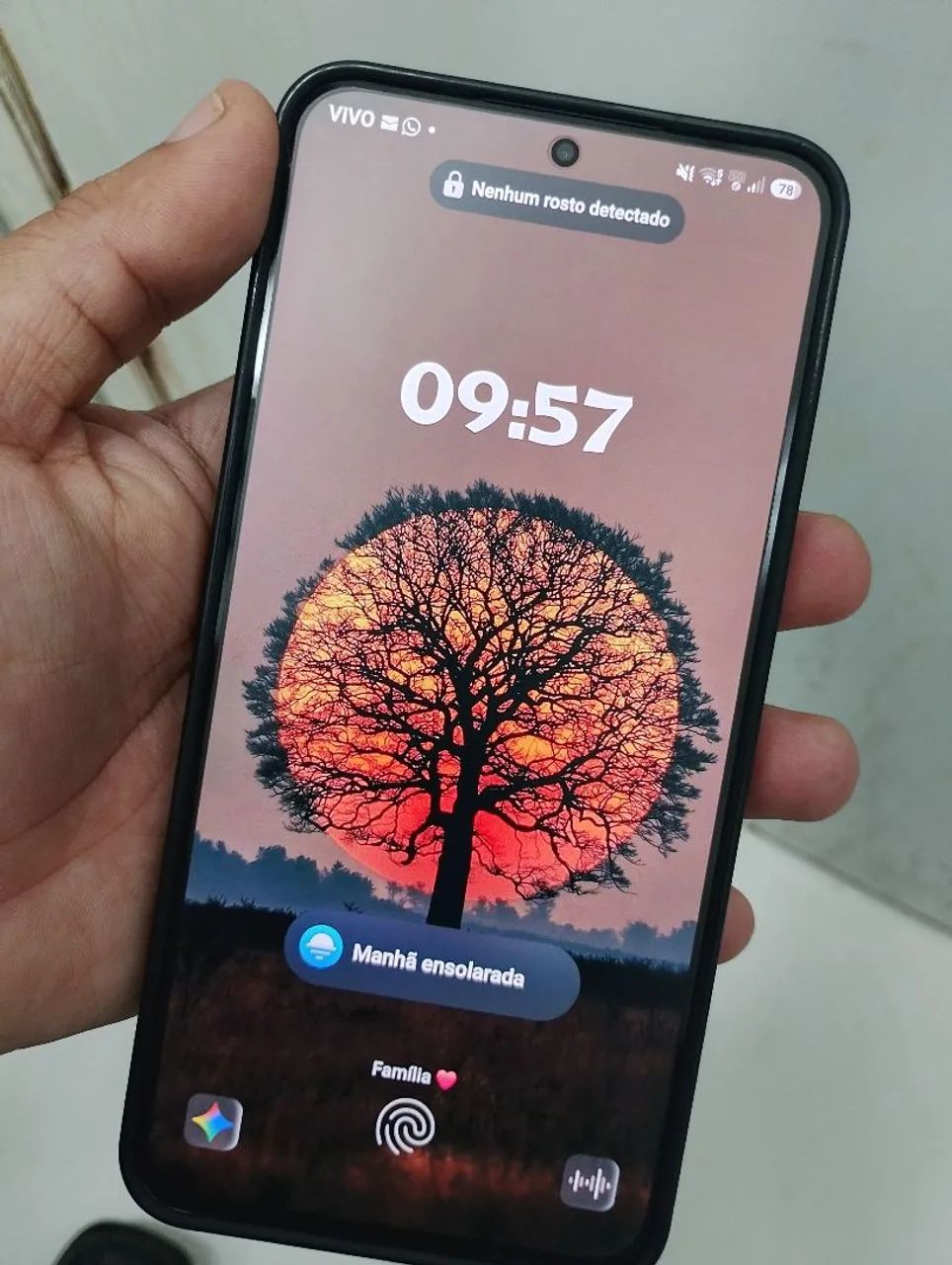 Vendo S25 FE 256GB 