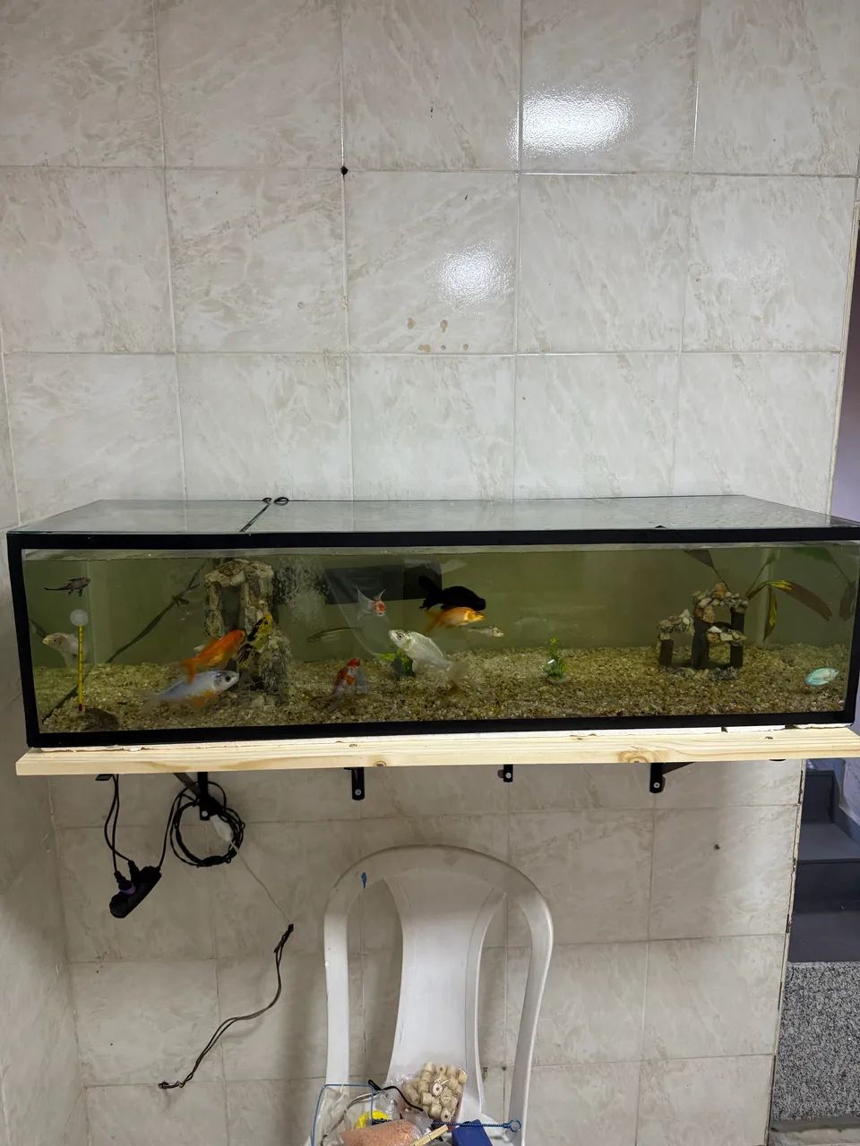 AQUÁRIO 150 LITROS - Foto 2