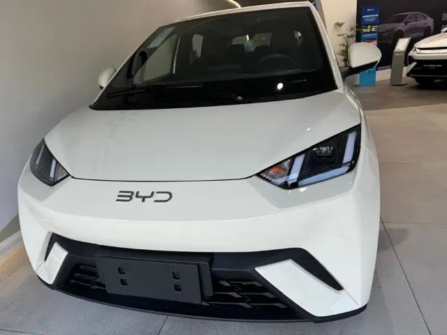 BYD Dolphin Mini (Elétrico) 2027 - Foto 2