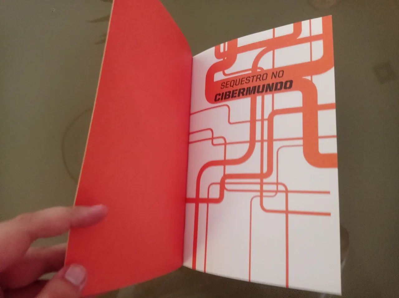 Sequestro no Cibermundo - ilustrado - Foto 4