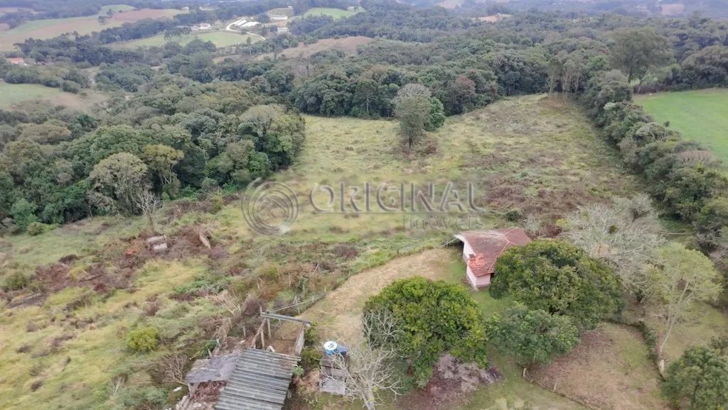 Chacara a venda : - Foto 3