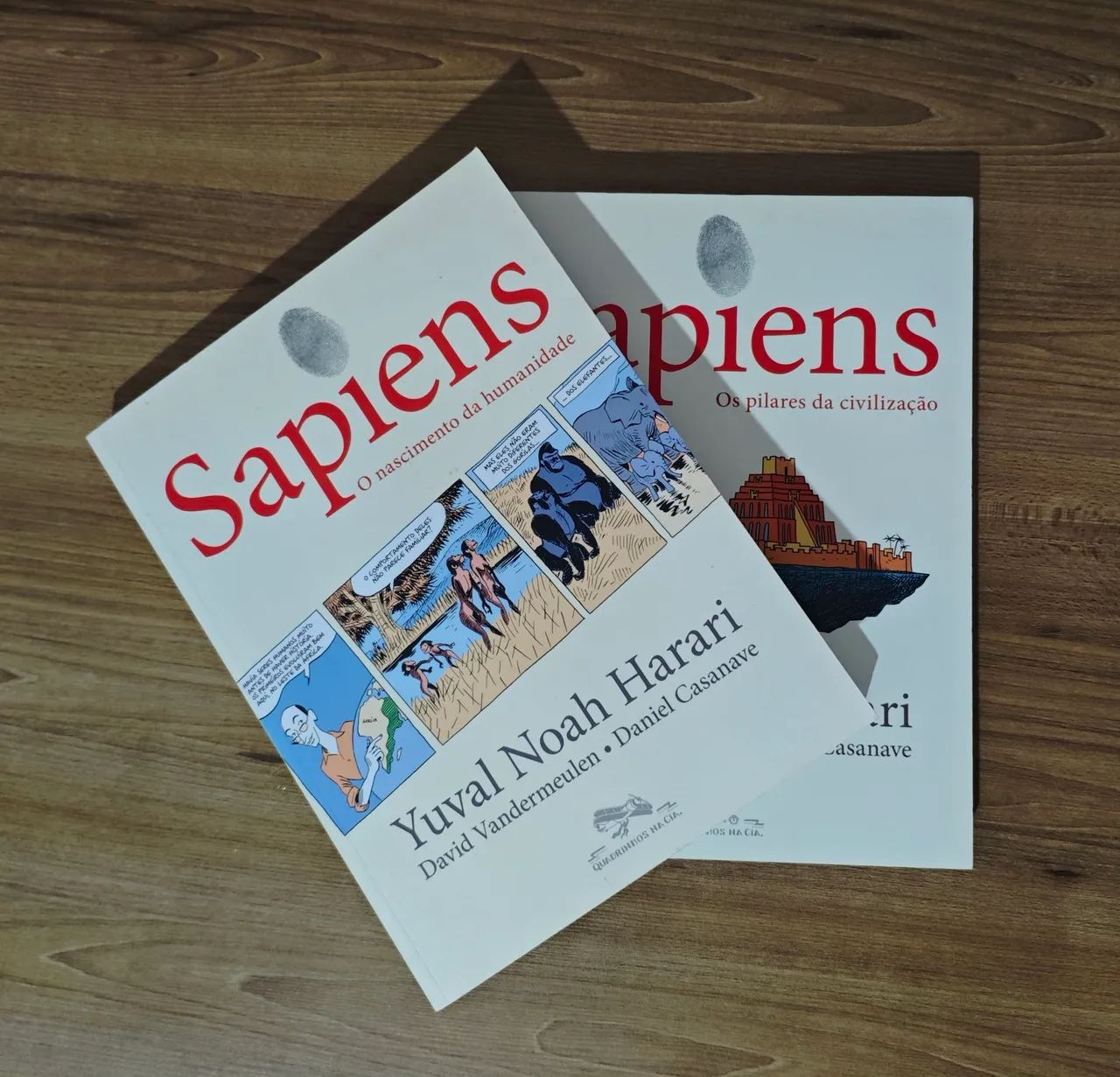 Hq Sapiens  - Foto 2