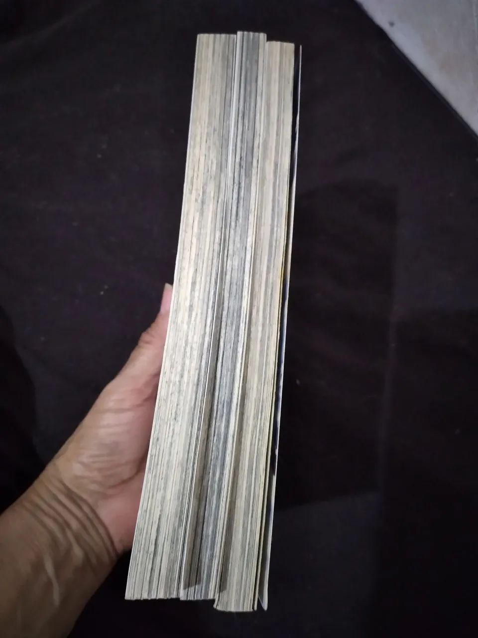 Mangá Granblue Fantasy - Foto 5