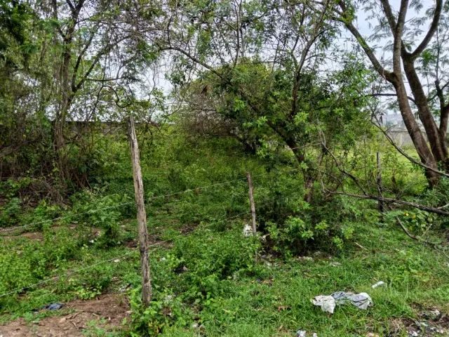 Terreno Itaborai - Foto 2