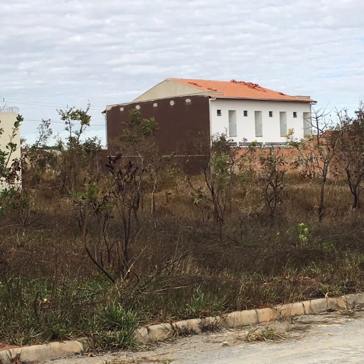 Lote  - Foto 2