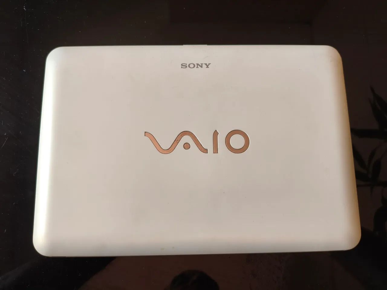 Notebook Sony Vaio