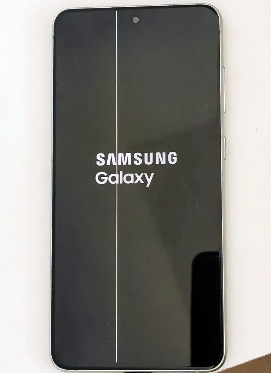 Samsung S21FE
