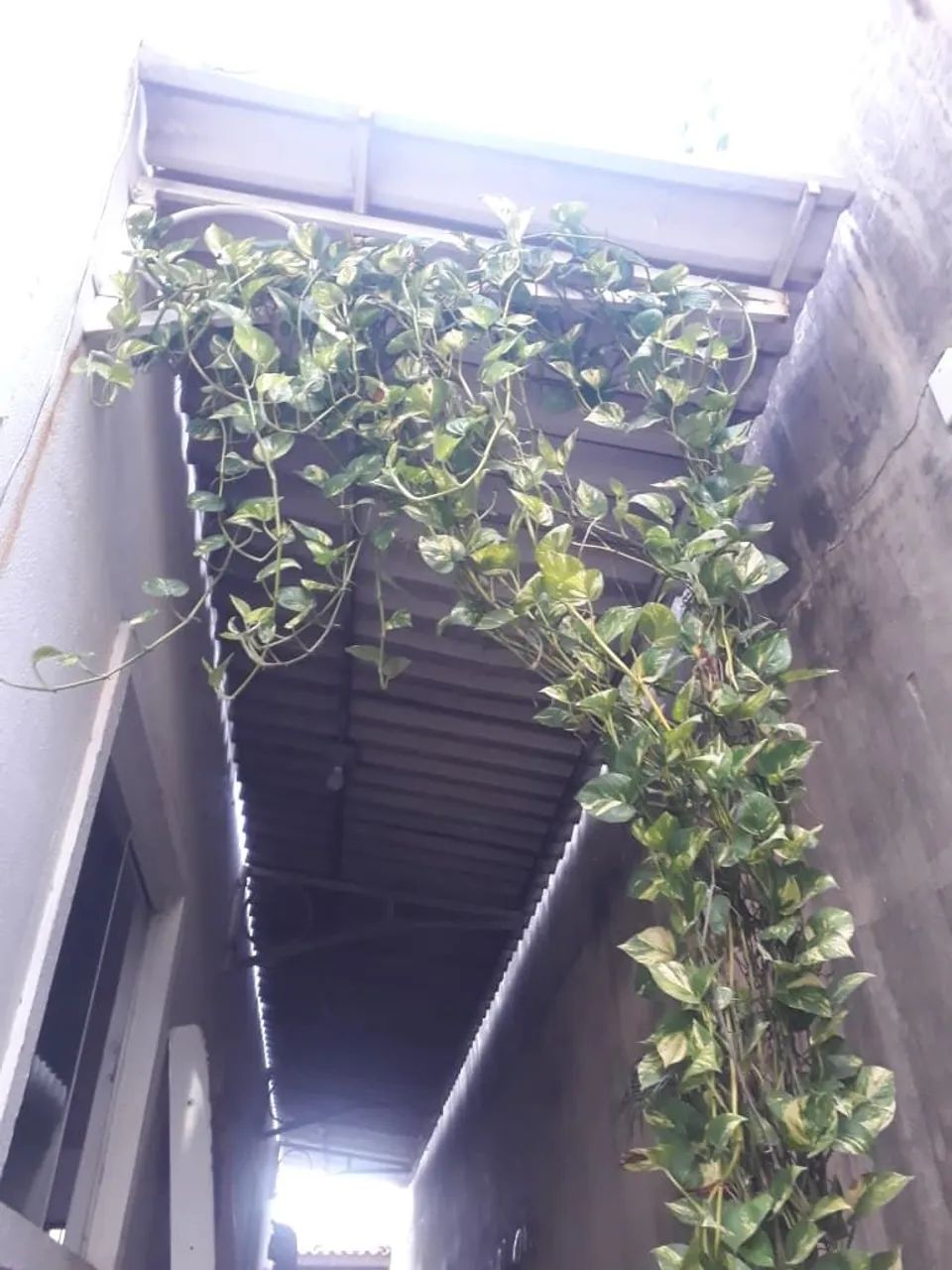 Vendo 2 toldos ,bom pra casa ou comércio - Foto 2