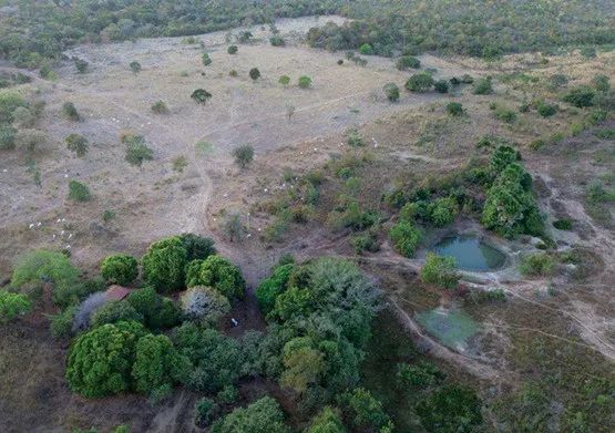 Imóvel rural no Tres Barreiras em Araguaçu - Foto 5