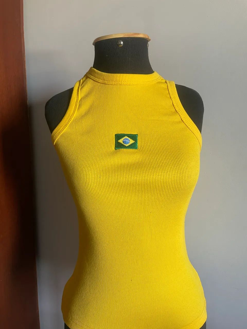 Regatinha do Brasil  - Foto 2