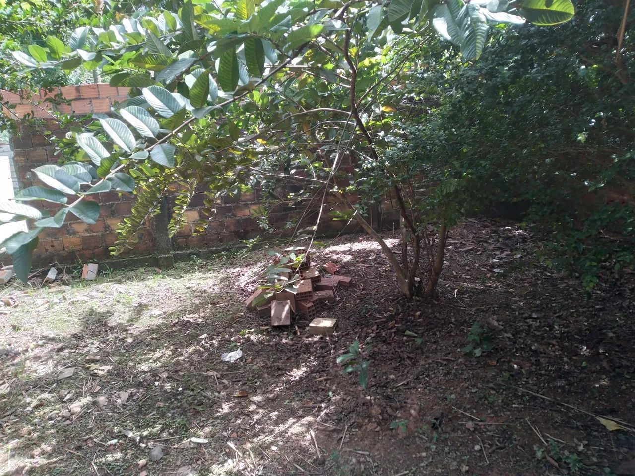 Terreno - Foto 2