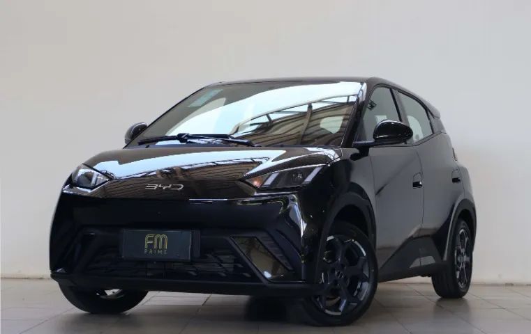 BYD Dolphin 2027