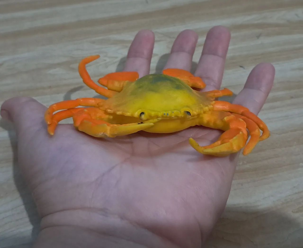 Réplica miniatura de siri e estrela do mar - Foto 4