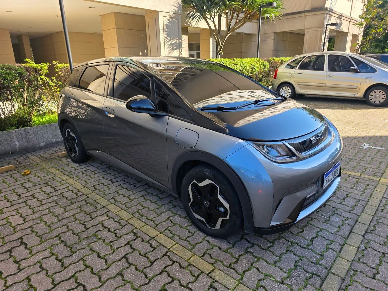 BYD Dolphin EV (Elétrico) 2024 - Foto 2