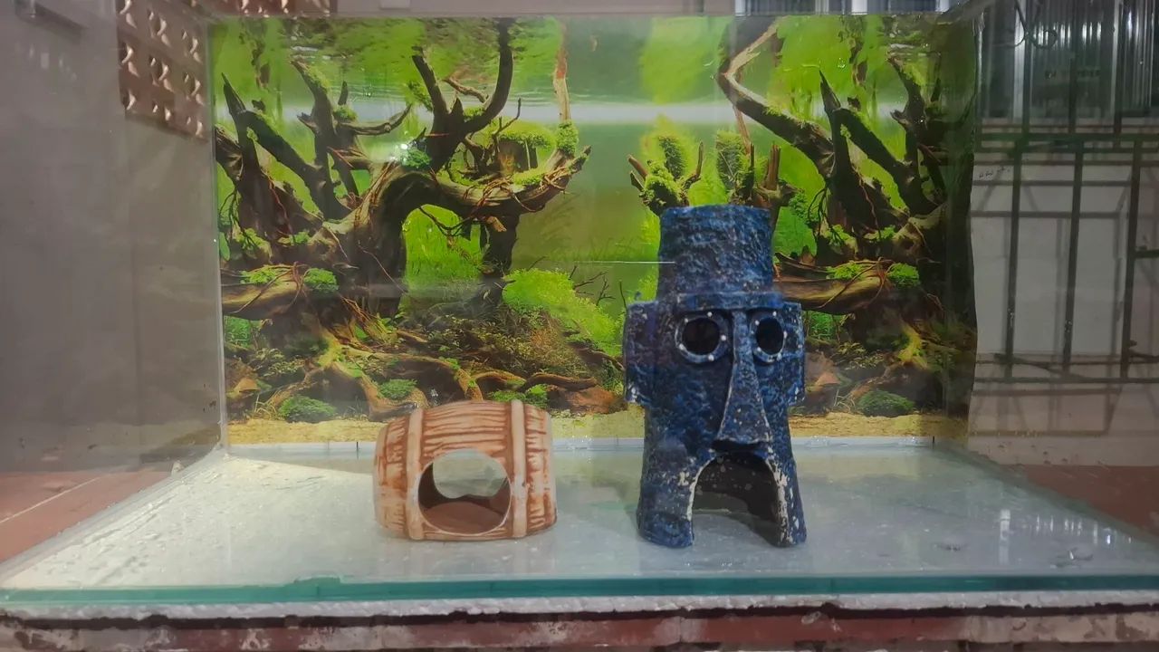 Aquário 