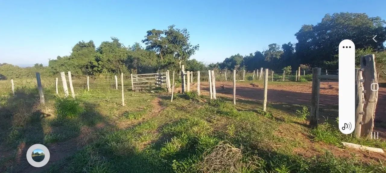 CÓD 595  Arrendamento para Pecuária | Corguinho/MS - Foto 4