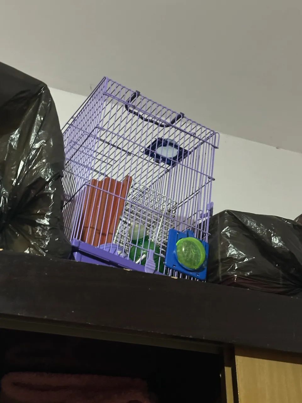 Gaiola para hamster 