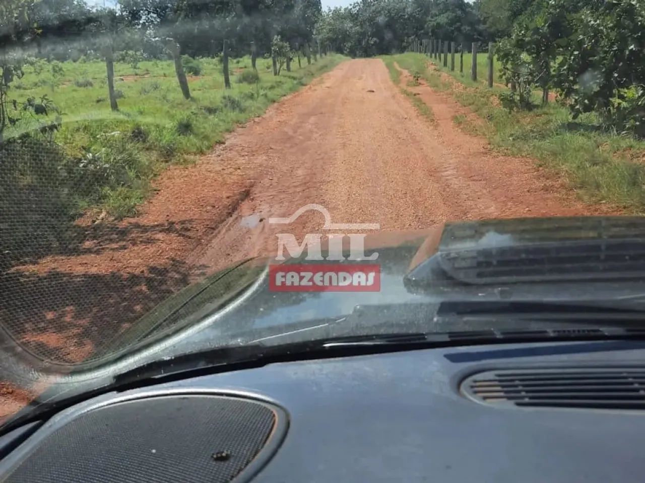 Fazenda 250 Alqueires (1.210 Hectares) Goianorte - GO - Foto 4