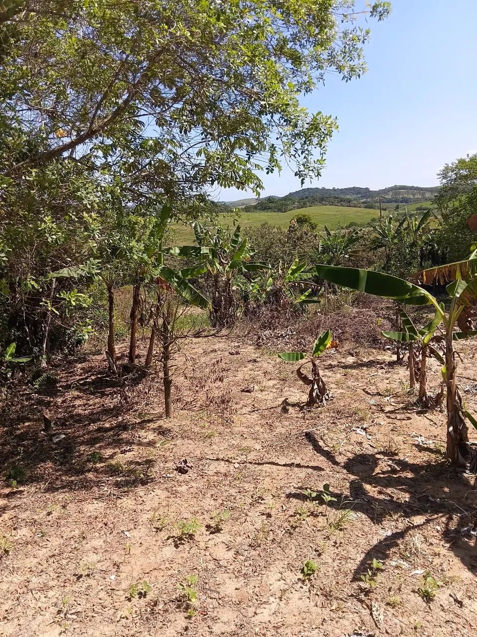 Vendo sítio com 1400 m2 - Foto 5