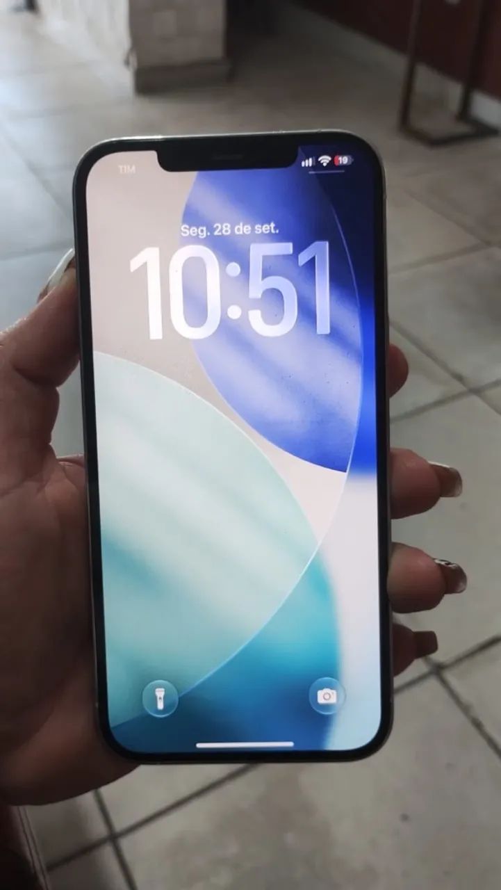 iPhone 12 Pro Max 