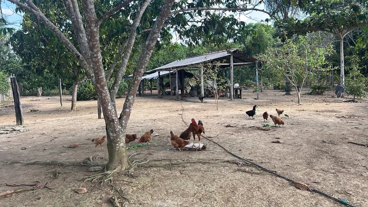 Chácara completa com 17.550m, produtiva e pronta para morar! - Foto 2