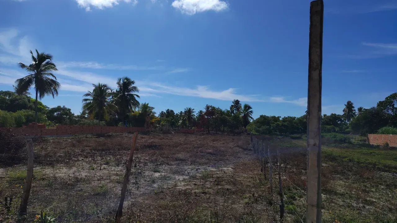 área fundo para a lagoa dos tambaquis abais no - Foto 2