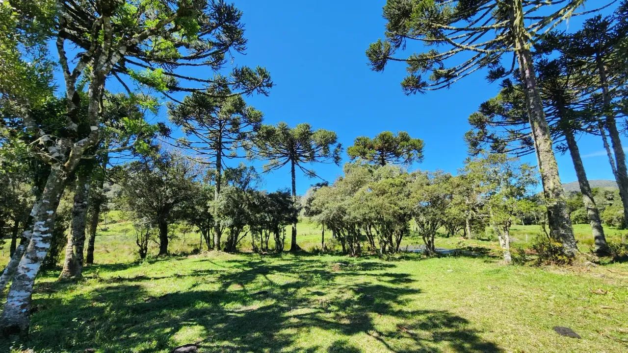 Terreno de altitude à venda em Urupema