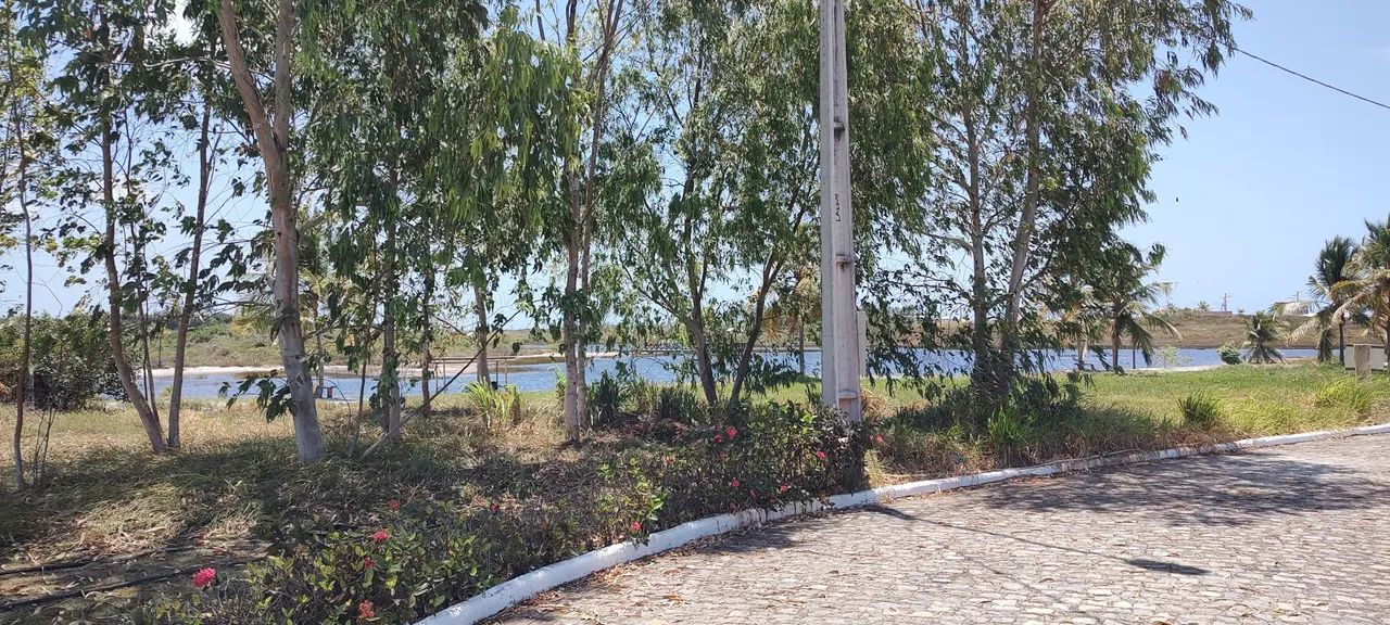 Lote Cond. Fazenda Real 530m² VD/TR - Foto 3