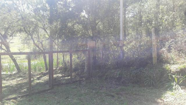 Area para Chacara em Quatro Barras 10 alqueires - Foto 2