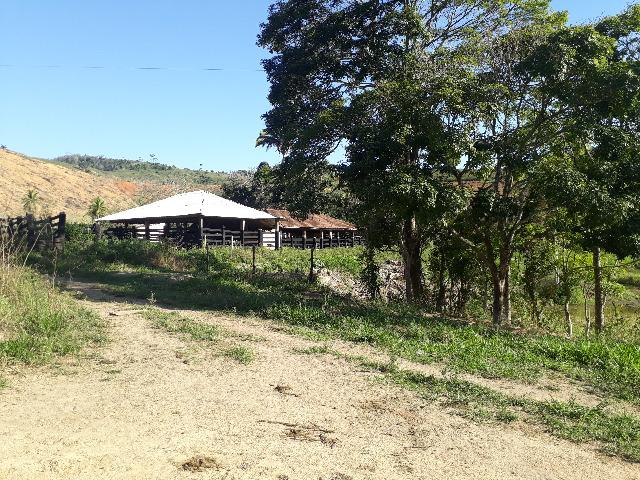 Fazenda com 174 hectares barra de são francisco - Foto 7