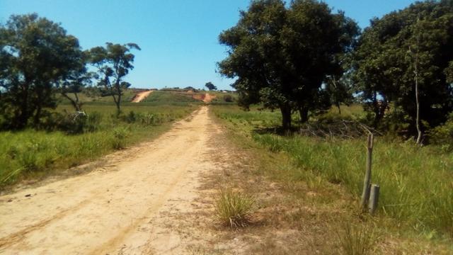 Excelentes lotes financiados em Jaconé, Saquarema - Foto 8