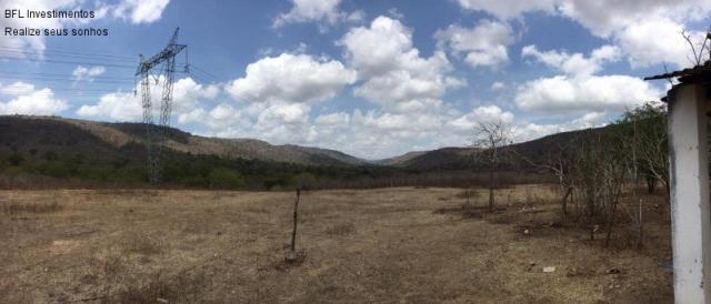 Fazenda em gravata 502 hectares, terreno amplo sen um vale com passagem de rio 8km da br23 - Foto 3