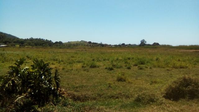 Excelentes lotes financiados em Jaconé, Saquarema - Foto 12