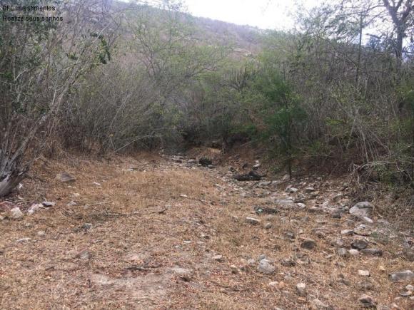 Fazenda em gravata 502 hectares, terreno amplo sen um vale com passagem de rio 8km da br23 - Foto 2