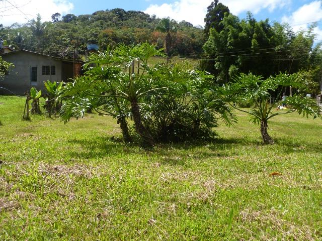 Chácara 3.500 m² Em Juquitiba-SP- Só 114 Mil Reais - Foto 2