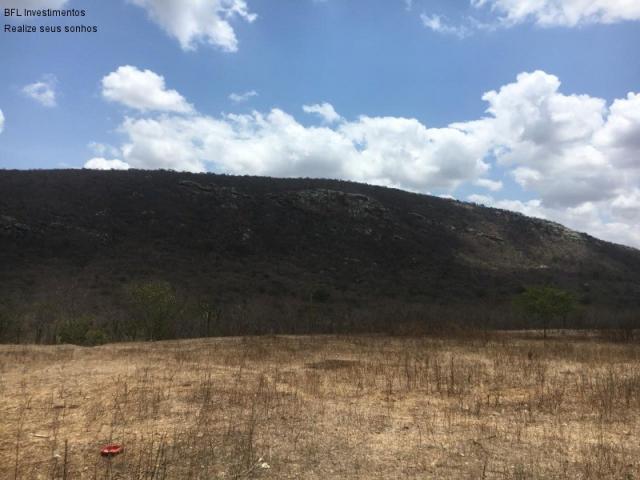 Fazenda em gravata 502 hectares, terreno amplo sen um vale com passagem de rio 8km da br23 - Foto 4