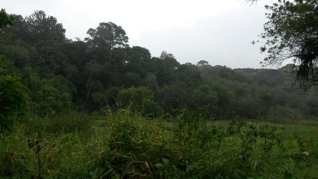 REF. 1230 - Linda Chácara com 21 mts Frente rodovia do xisto 4.865 M² - Serrinha