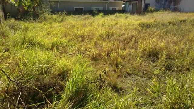 Terreno J.Noêmia - 12 x 25 (300 M2) - Oportunidade de 199 p/ 180 Mil/Plano/Murado - Foto 7