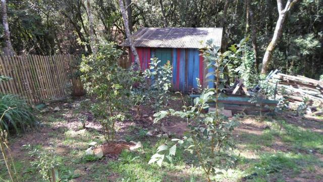 REF ? 2404 - Chácara com 2,400 m² localizada no capinzal com 3 nascente - Foto 13