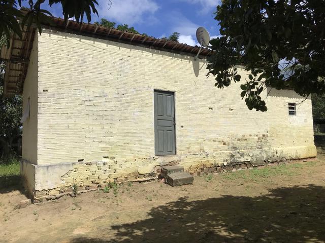 Granja, sítio, fazenda em Igarassu, 4 hectares com bastante benfeitorias! - Foto 6