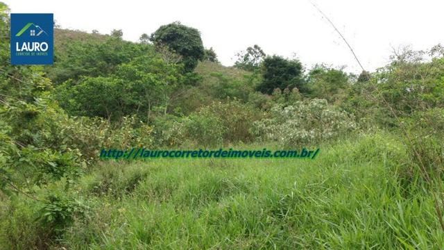 Terra com 8 alqueires a 13 km de T. Otoni - Foto 14