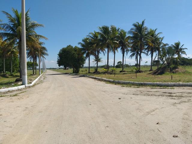 G Cód 35 Pré lançamento!!!! - Foto 2
