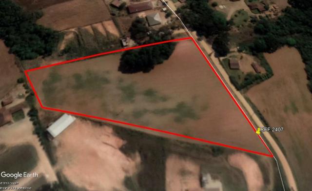 REF 2407 - Chácara com 3.000m² - Excelente formar chácara Serrinha - Contenda/PR - Foto 14
