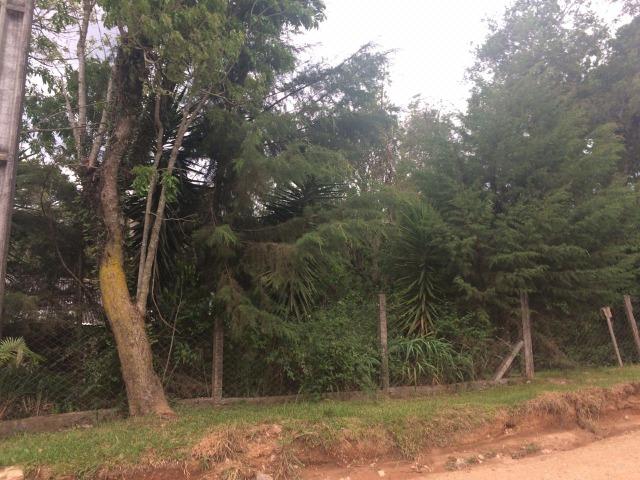 REF ? 2404 - Chácara com 2,400 m² localizada no capinzal com 3 nascente - Foto 10