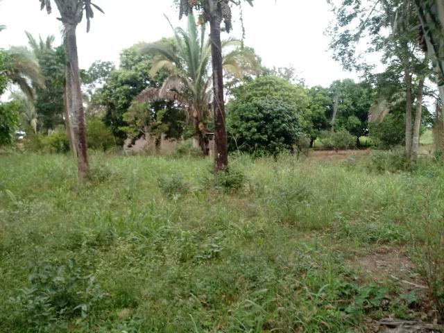 Fazenda 333 hectares para Pecuária em Livramento - Foto 15