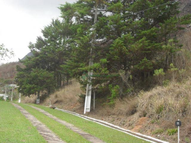 Terreno à venda, 2241 m² por R$ 80.000,00 - Vieira - Teresópolis/RJ - Foto 11