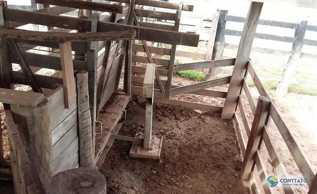 Fazenda 1500 hectares, com dupla aptidão, na Região Serra azul, Mato Grosso - Foto 16