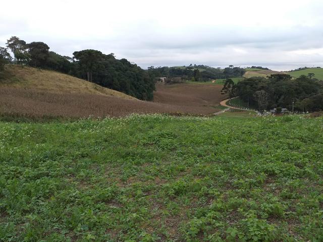 Chácara campo magro